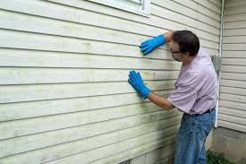 Best Vinyl Siding Installation  in USA